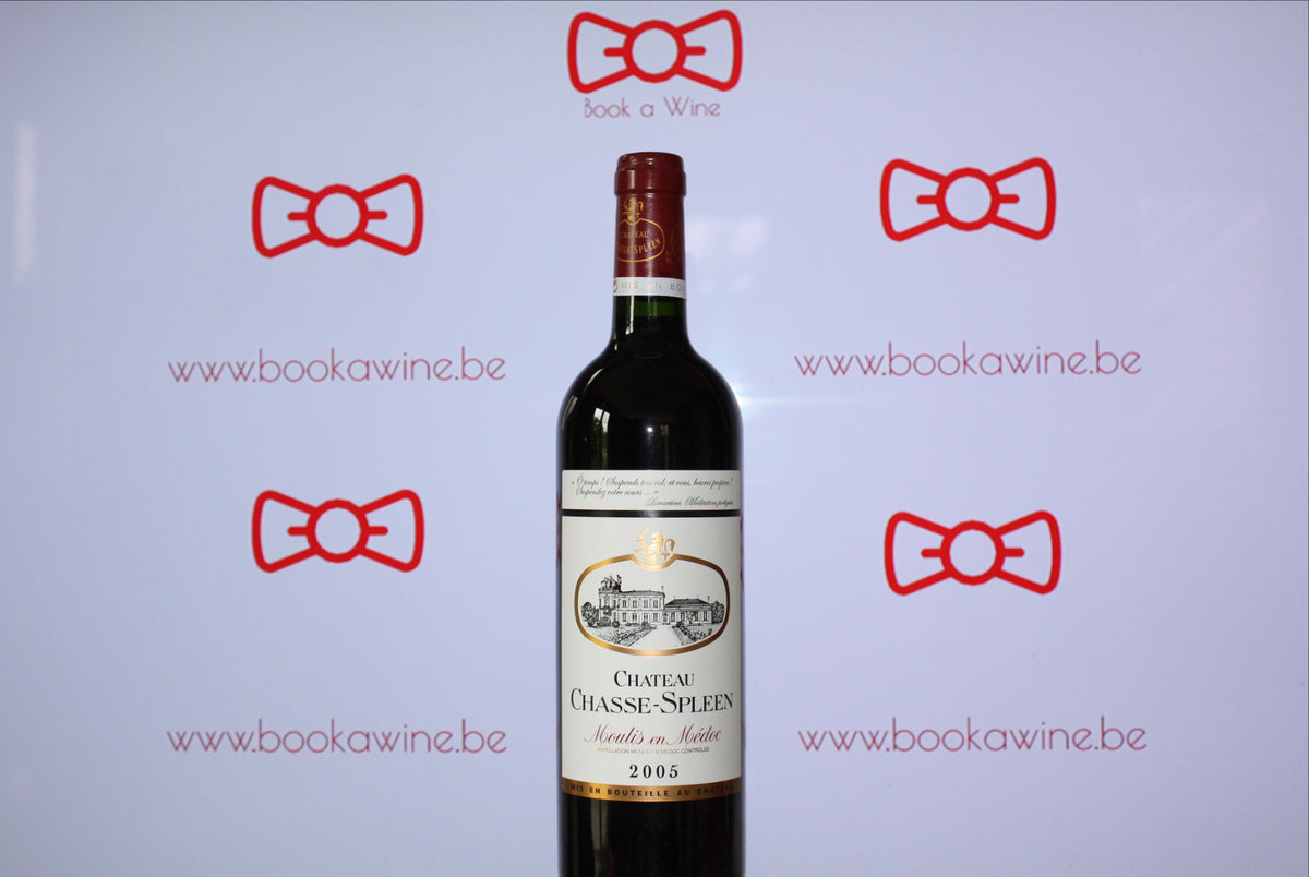 Château Chasse-Spleen 2005